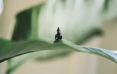 即刻畅玩，尽享极致娱乐体验 - 问鼎下载